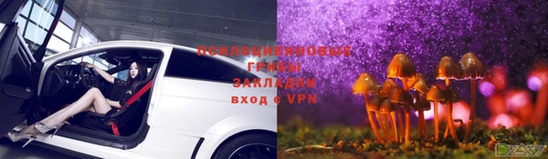 герыч Аркадак