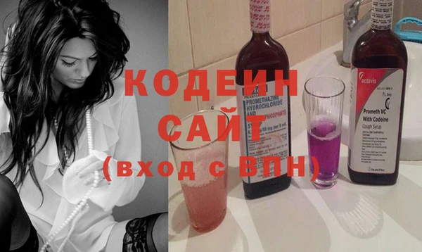 Альфа ПВП Няндома