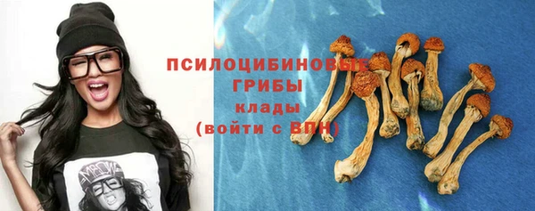 Альфа ПВП Няндома