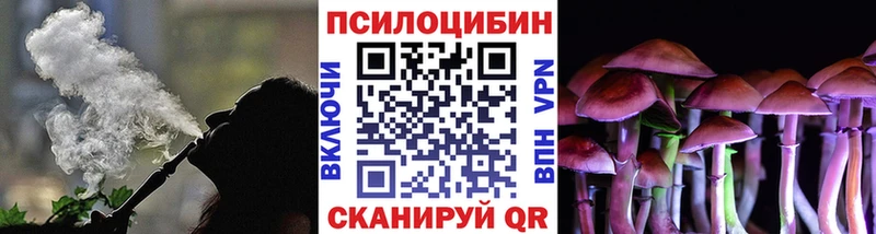 omg маркетплейс  где купить наркоту  Пущино  Псилоцибиновые грибы мухоморы 